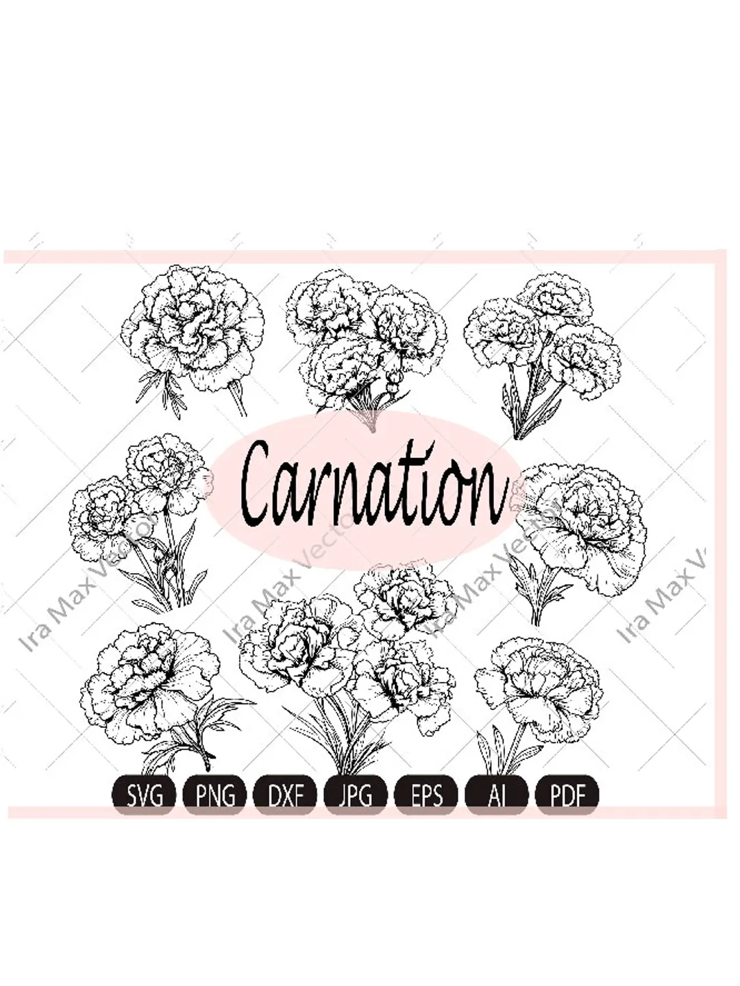 Carnation Flower SVG,Carnations svg,Carnation Hand drawn,carnation Files For Silhouette,Bouquet carnations svg,Carnations svg,Carnation png