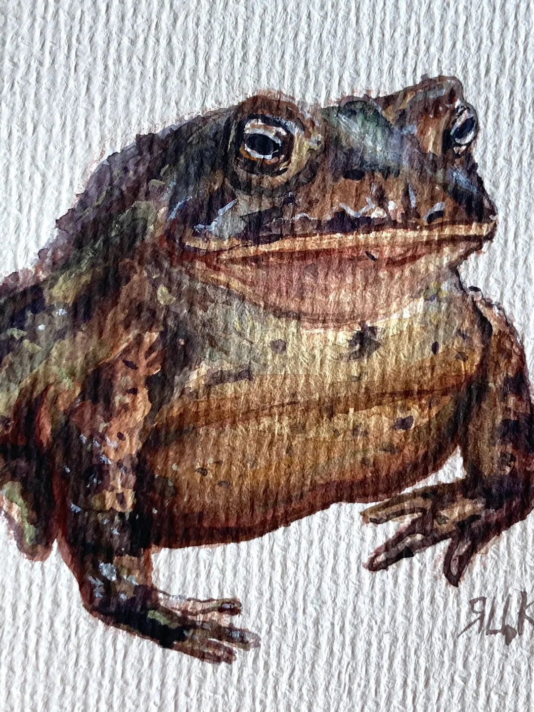 Toad Painting Original Watercolor Painting Gift Small Animal Art Frog ...