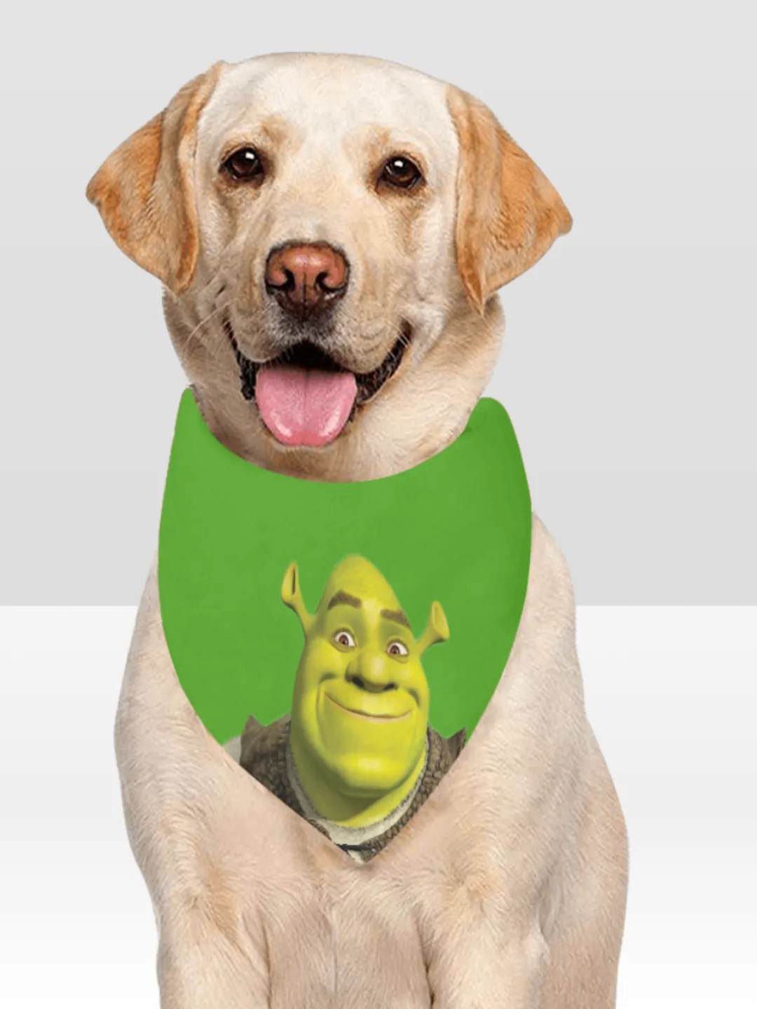 Shrek Dogs Shrek Pet Dog Bandana