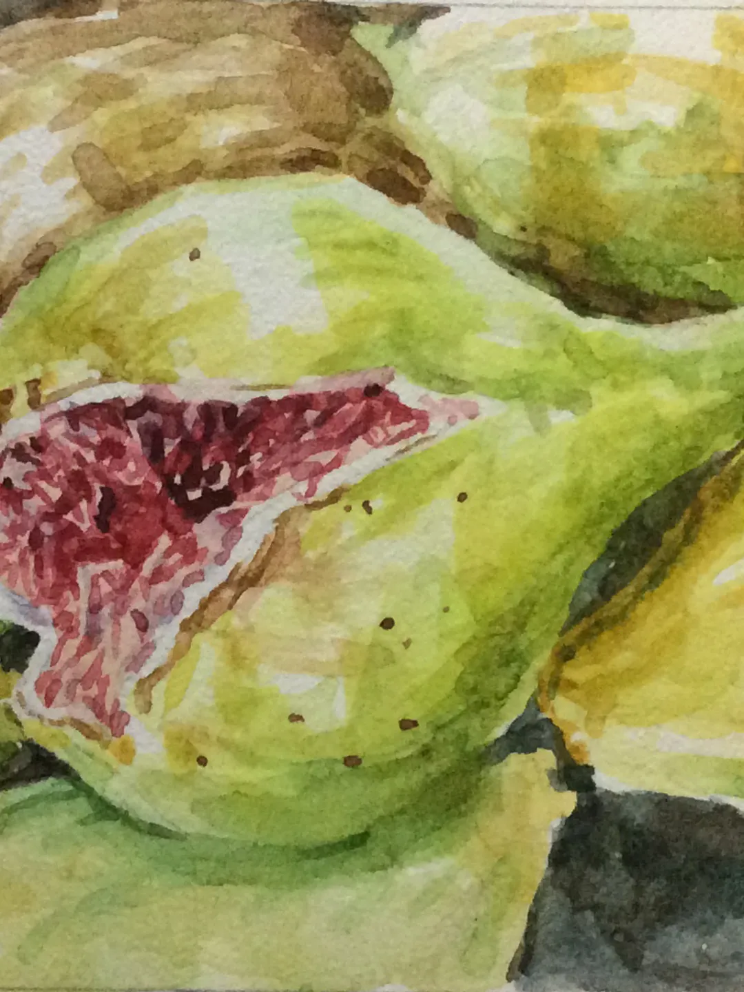 "ACEO Figs" watercolor original wall art painting fruit still life picture