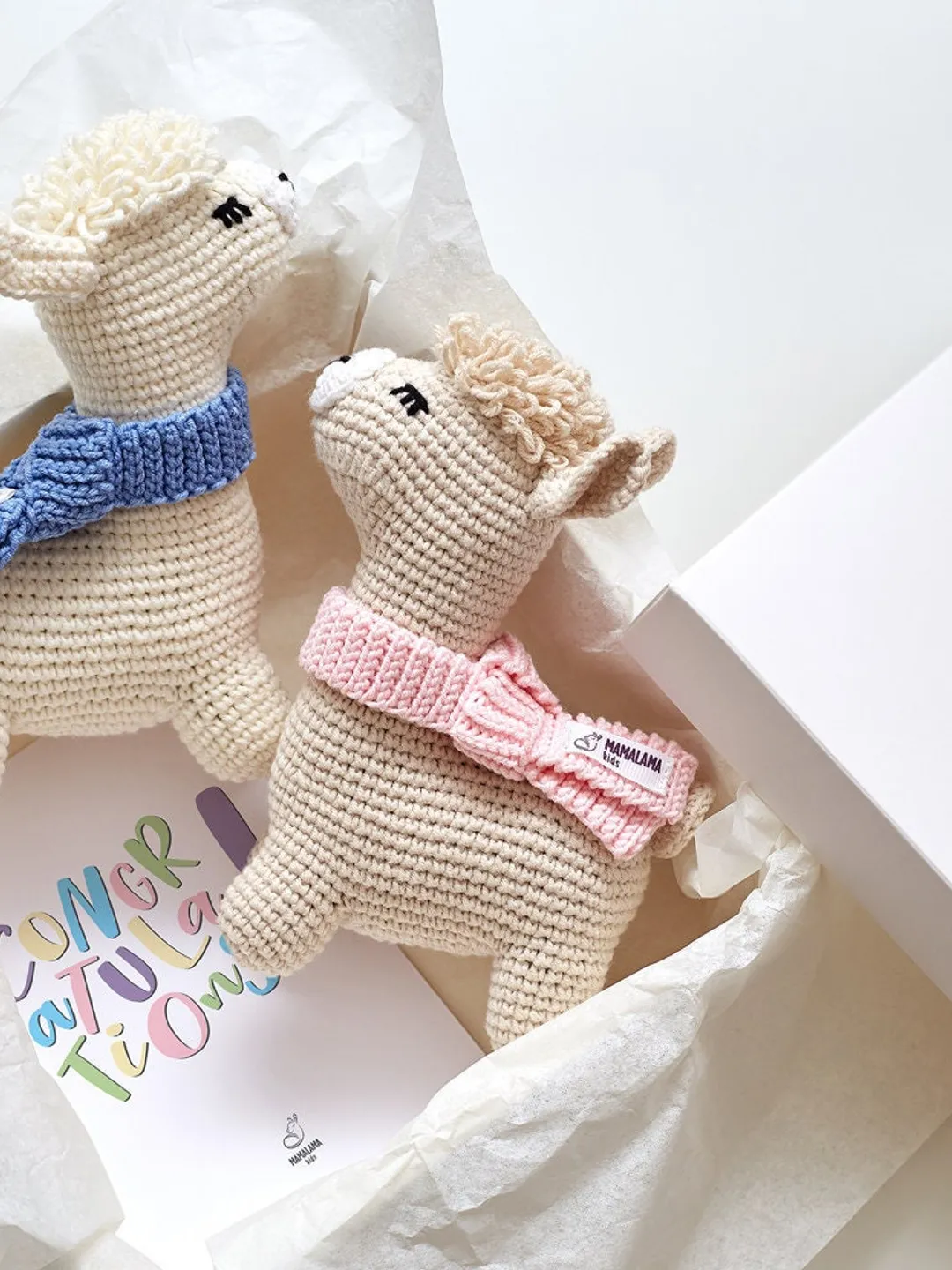 New mom twins gift basket