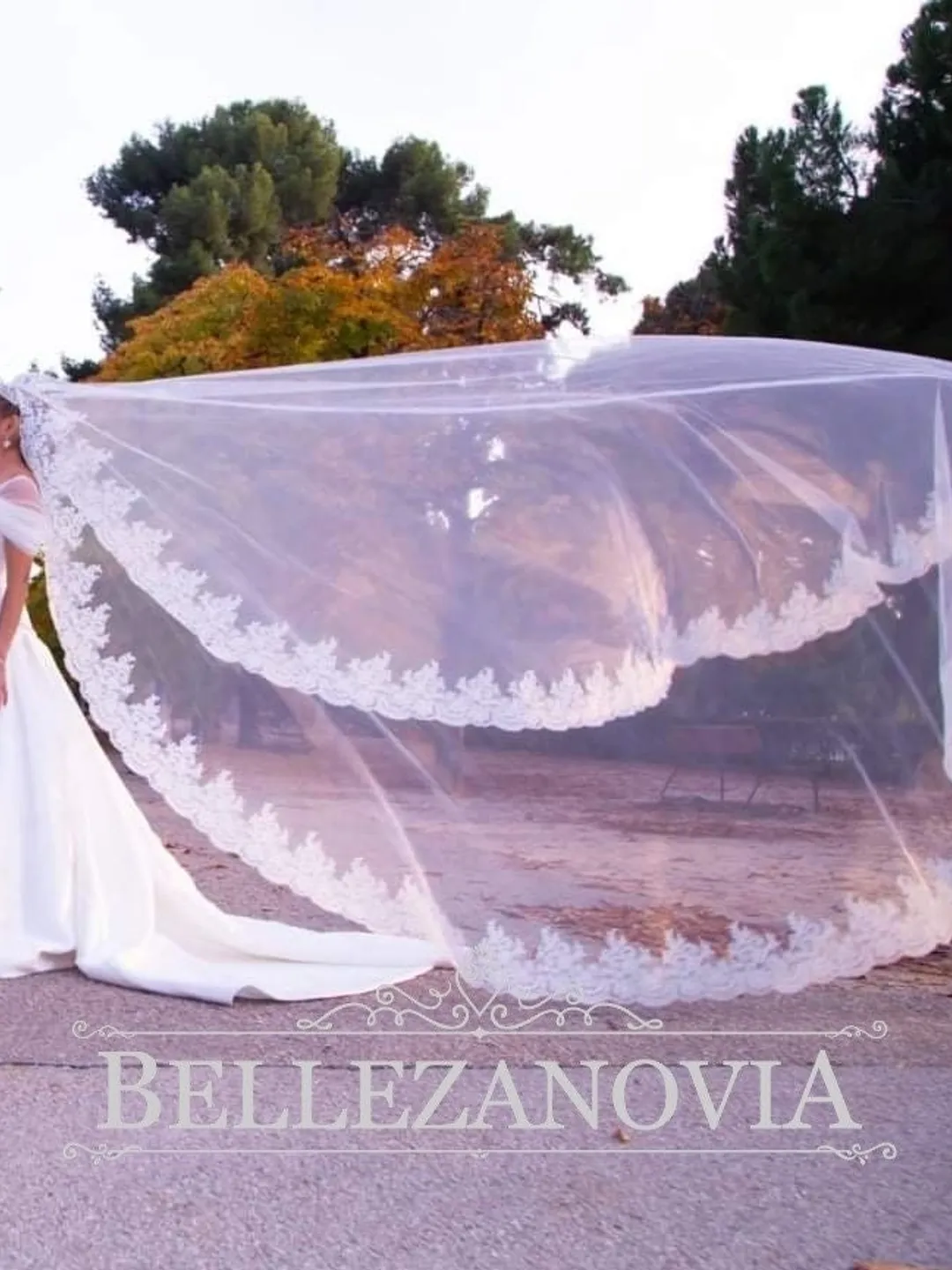 Veil wedding cathedral bridal lace, Veil wedding cathedral lace brida, Veil wedding cathedral bridal veil, Cathedral wedding veil 0055.1