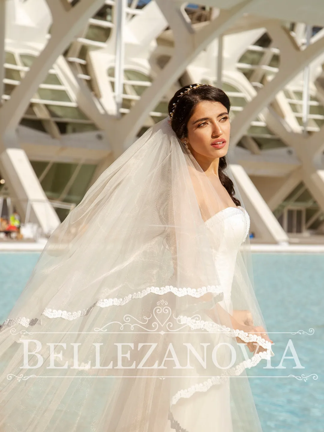 Beautiful Lace Wedding Veil, Veil on comb, Silk mantilla veil, Ivory wedding veil, Extra long veil, Veil wedding cathedral bridal lace 90080