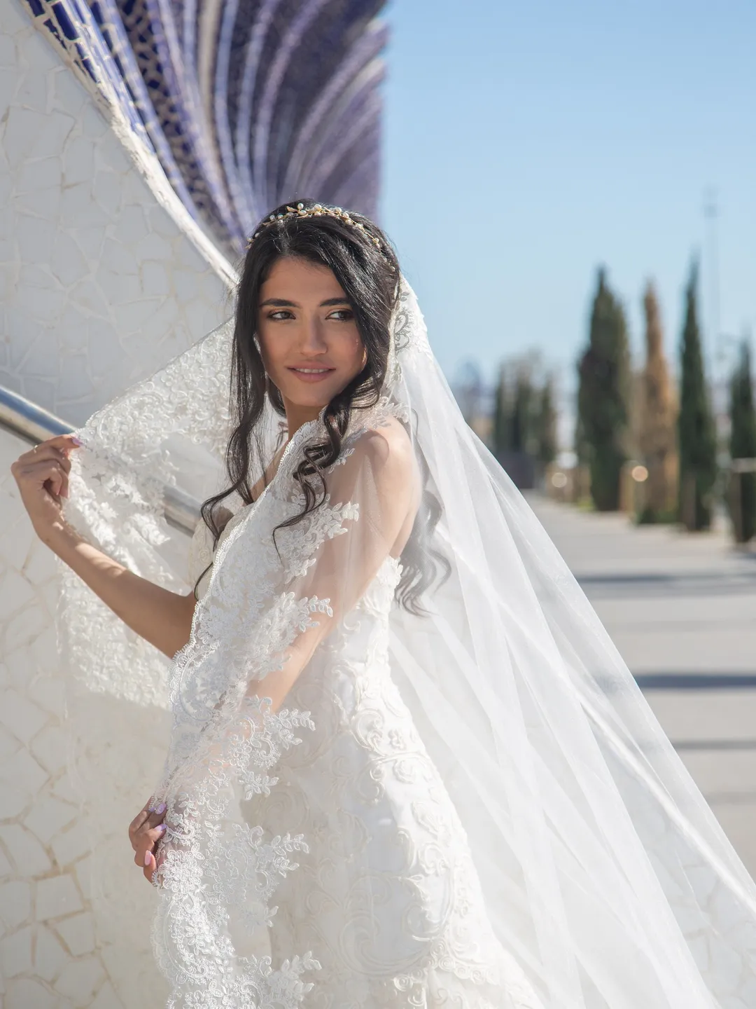 Cathedral wedding veil with lace, Lace Cathedral wedding veil, Royal Veil Lace, Long Lace Veil, Custom Veil, Wedding veil ivory, Bridal 0055