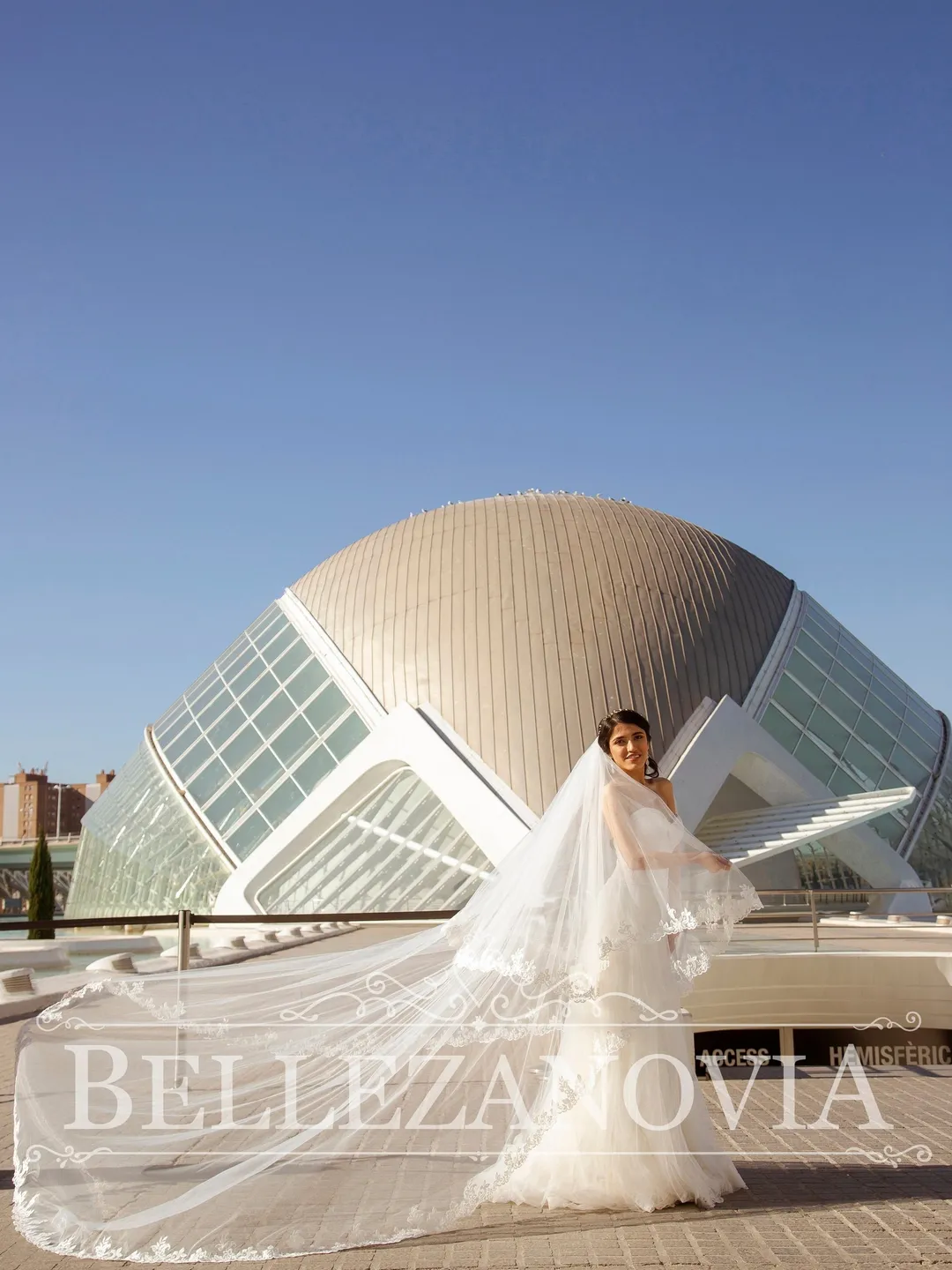 2 tier bridal veil, Cathedral Wedding Veil Lace, Chapel Lace Wedding Veil, long veil wedding, Single Tier Veil, lace wedding veil| - 90164