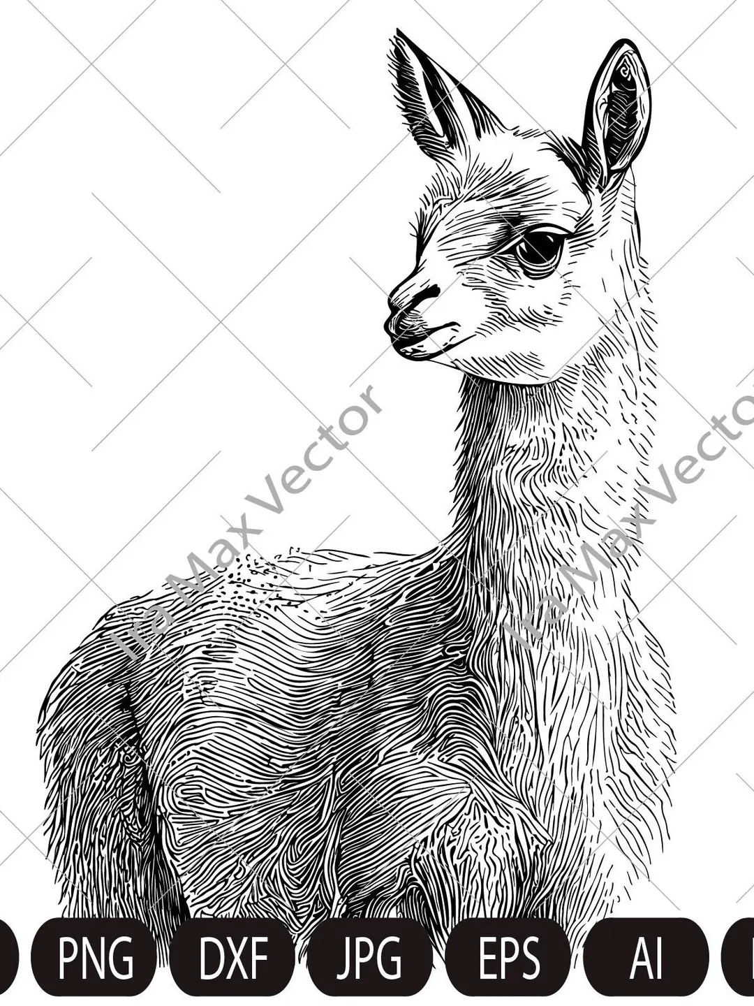 Llama svg, alpaka svg, farm animals clipart, Llama Printable Png, Llama shirt svg, lama detailed
