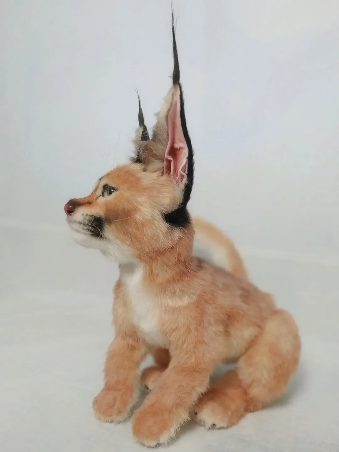 Cat Art Dolls - Lifelike Caracal Cub | Realistic Stuffed Animals