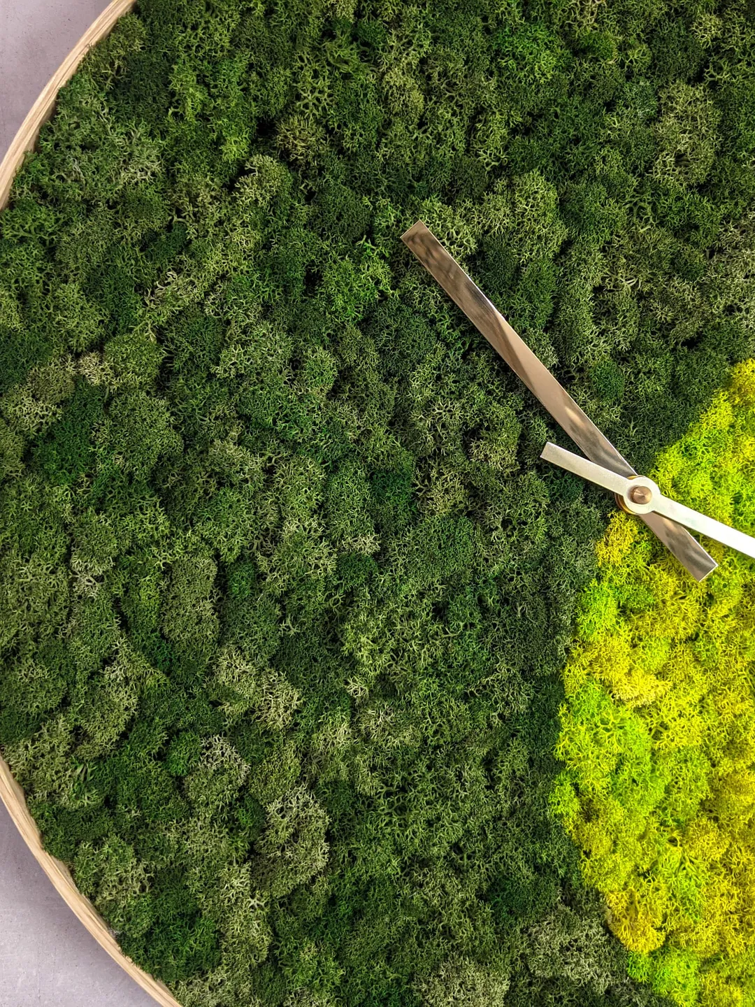 Colorful wall art | Large moss clock | Preserved moss wall art | Green moss wall art maintenance | Modern wall clock | Cottagecore wall art