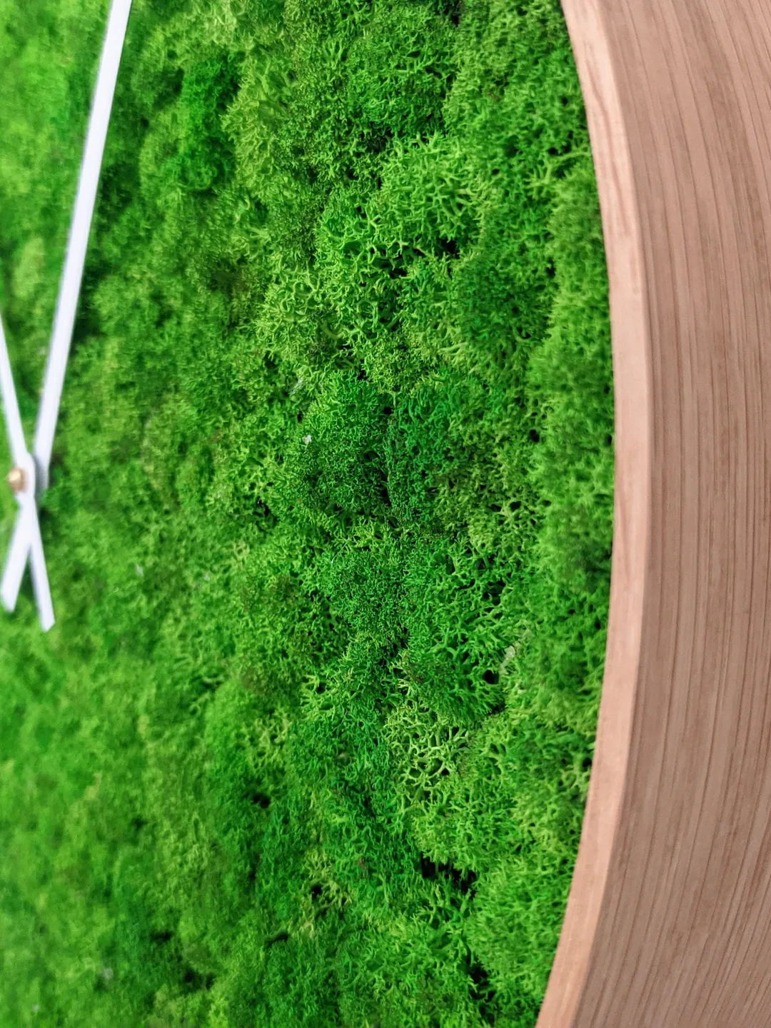 Moss Clock  | Moss wall art | Wood Wall Clock | Wall decor | Preserved moss art | Office decor
