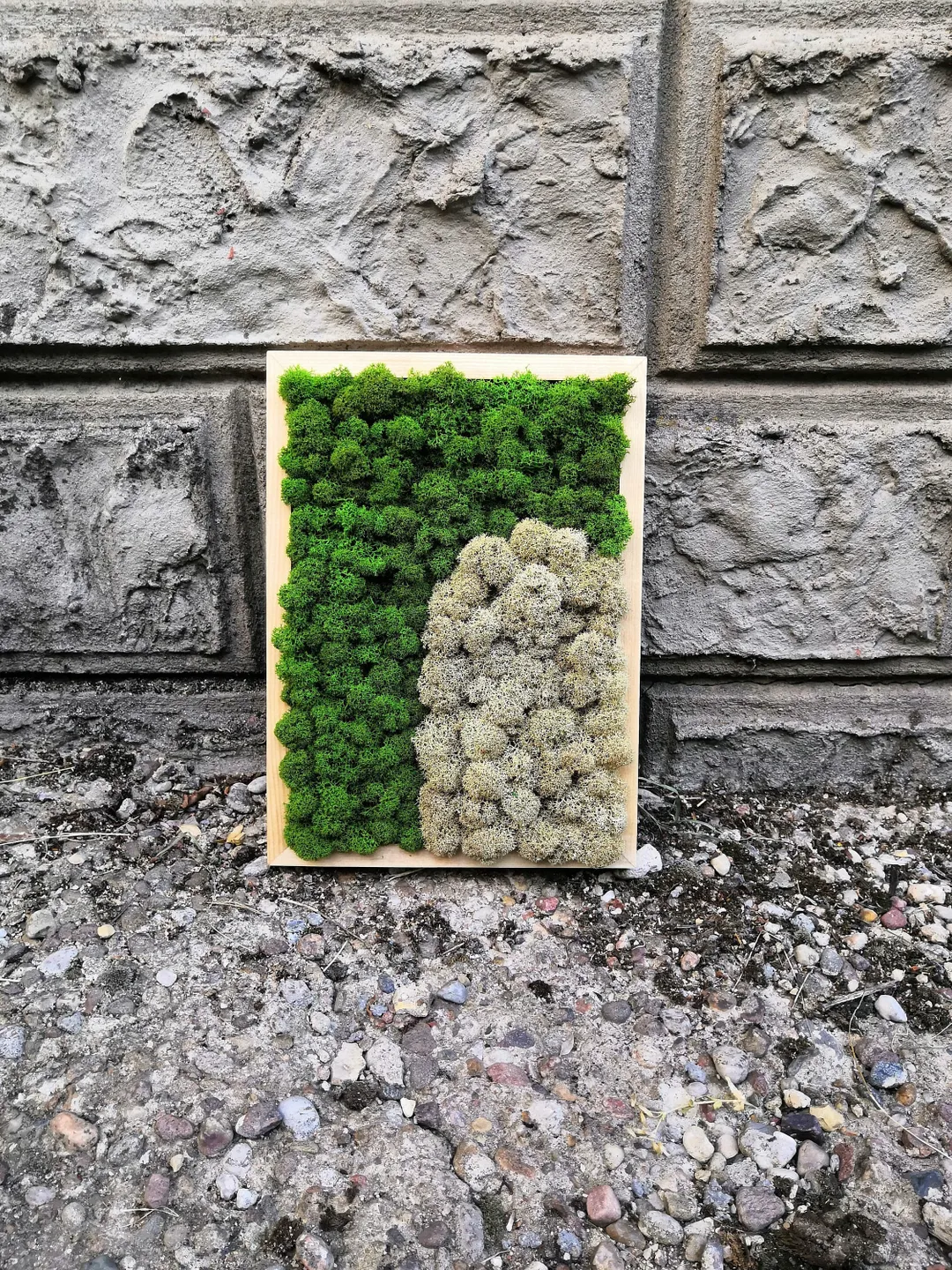 Mid Century Moss Wall Art | Moss Picture | Boho Wall Decor | Arch And Circle Wall Art | Abstract Wall Art | Colorfull Art