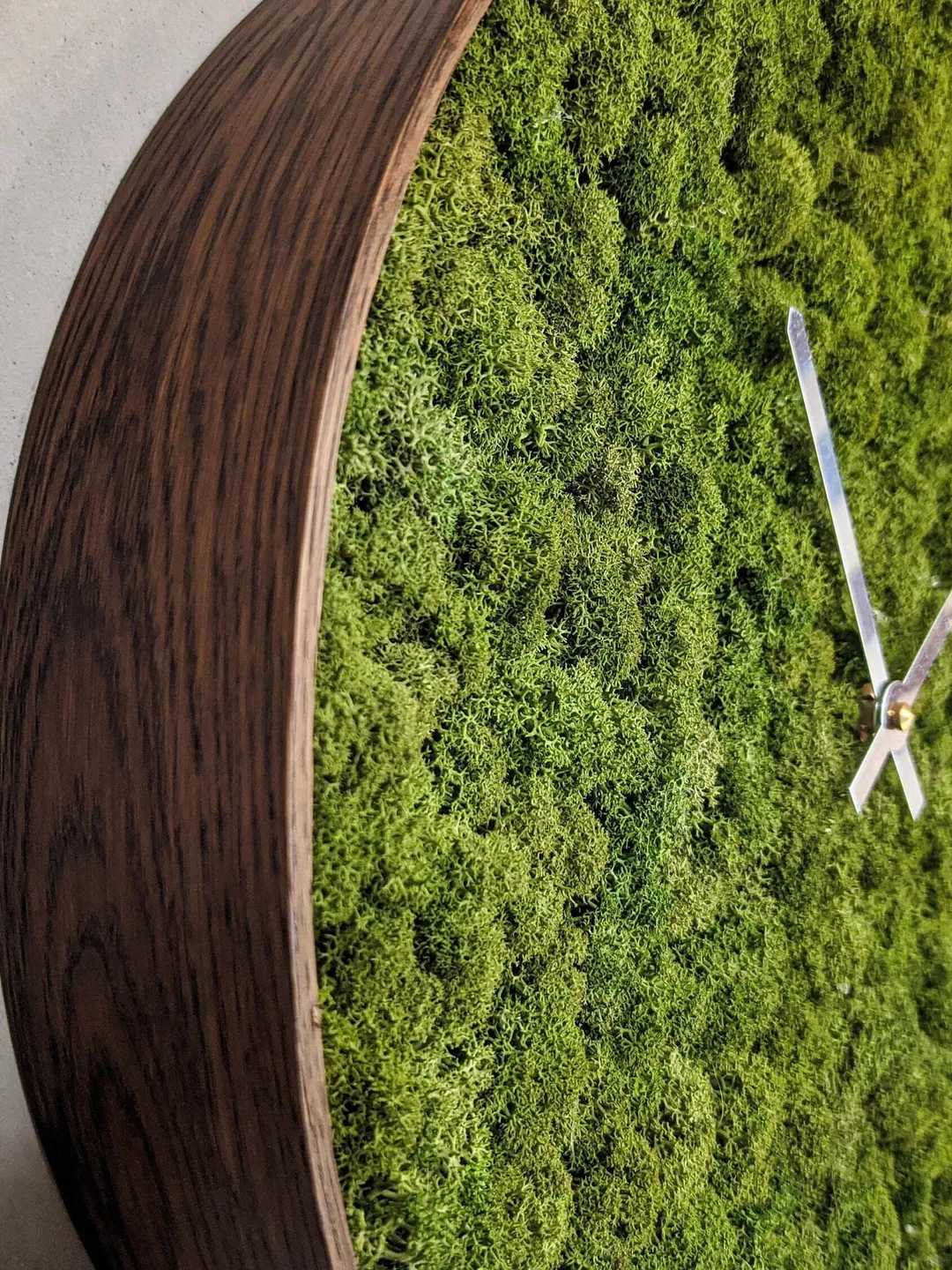 Moss Clock Unique | Silent Wall Clock | Moss wall art | Office wall decor | Cottagecore wall art | Plant decoration | Green home decor