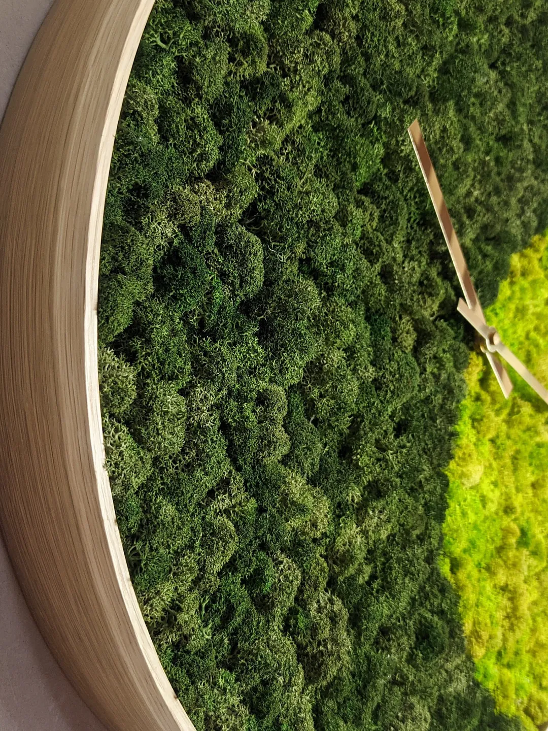 Large wall clock | Moss Clock | Preserved moss wall art | Oversized wall clock | Wall decor | Unique clock |  Plant office decor