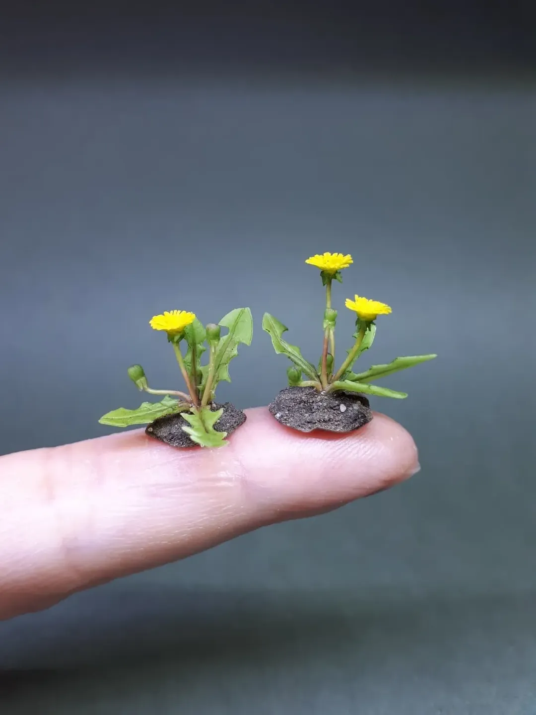 TO ORDER!Miniature realistic dandelions 1:12 for doll garden, vegetable garden, doll house.