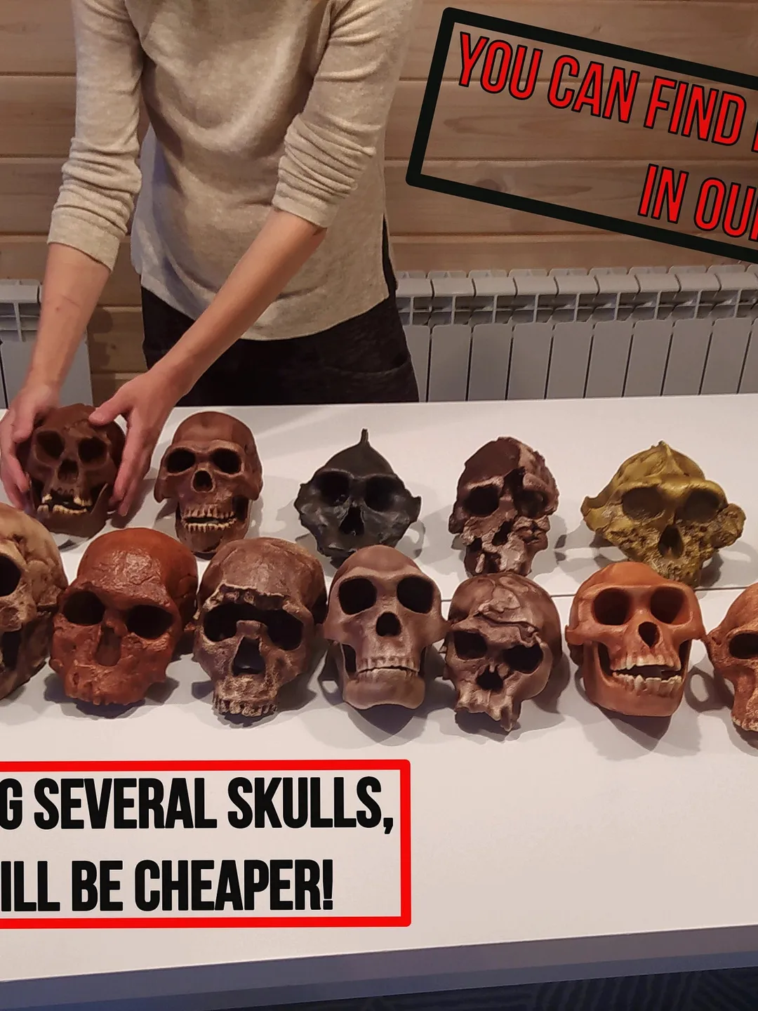 Small-Sized Hominid Skull \u0026quot;The Main Branch\u0026quot; of Human Evolution,  3D Printed Set for Collection and Home Decor, Anthropology Models, image size:1080x1440