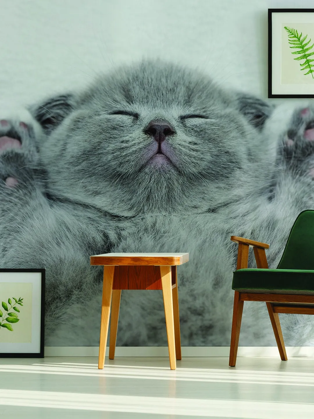 Cat Wallpaper Vinyl Decal Decor - Home Bedroom Peel And Stick Removable Gray Kitten Art Wall Sticker - Cute Kitty Adhesive Room Decoration