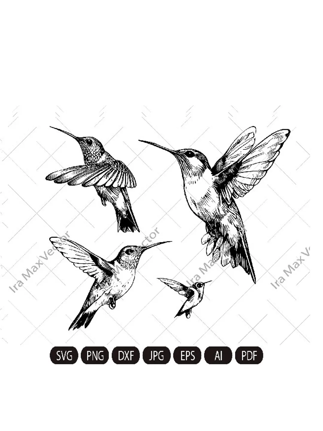 Hummingbird Svg, Hummingbird Clipart, Hummingbird set, Hummingbird Head, Hummingbird Cut Files , Bird Silhouette, little bird,flower bird