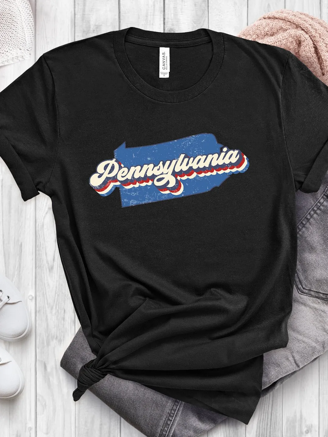 Vintage Pennsylvania State Shirt, Retro Pennsylvania College Student Tee