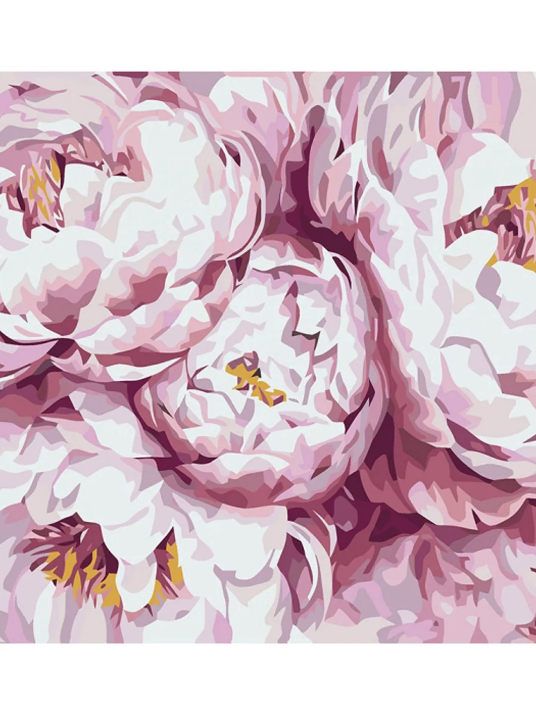 Peony Paint by numbers kit Adult, Floral Painting kit by numbers Peonies Flowers Framed Canvas