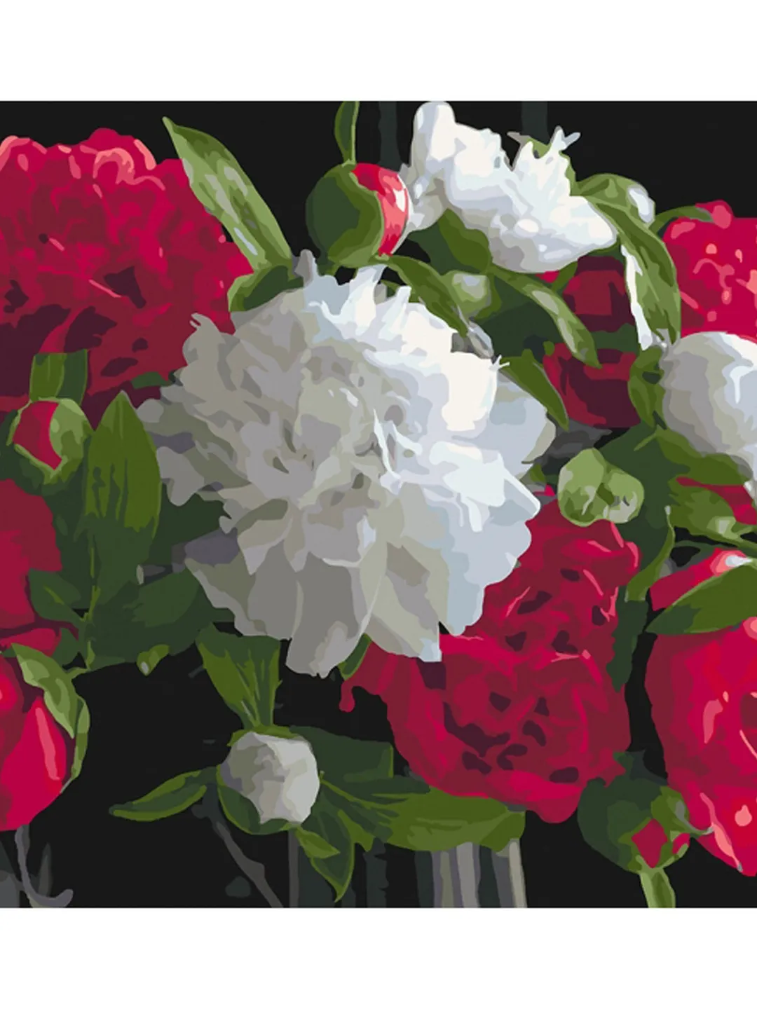 Floral Paint by number kits Adult, Flowers Peonies Painting by numbers Framed Canvas