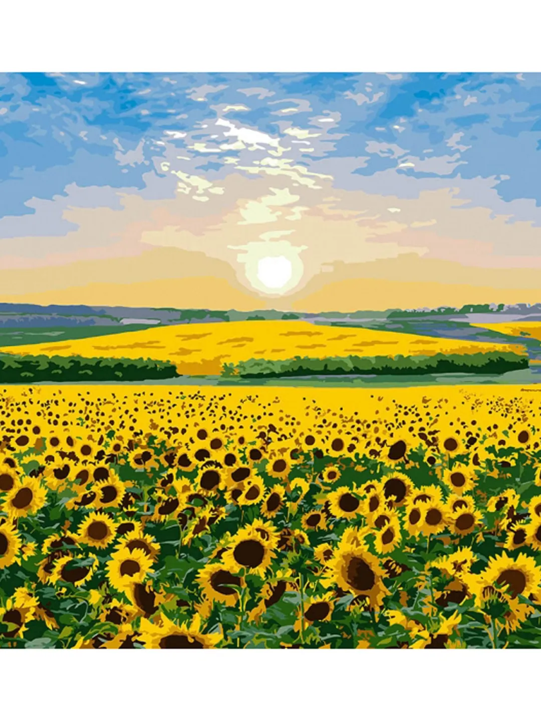 Sunflower Paint by number kit Adult, Yellow Flowers Painting by numbers ...