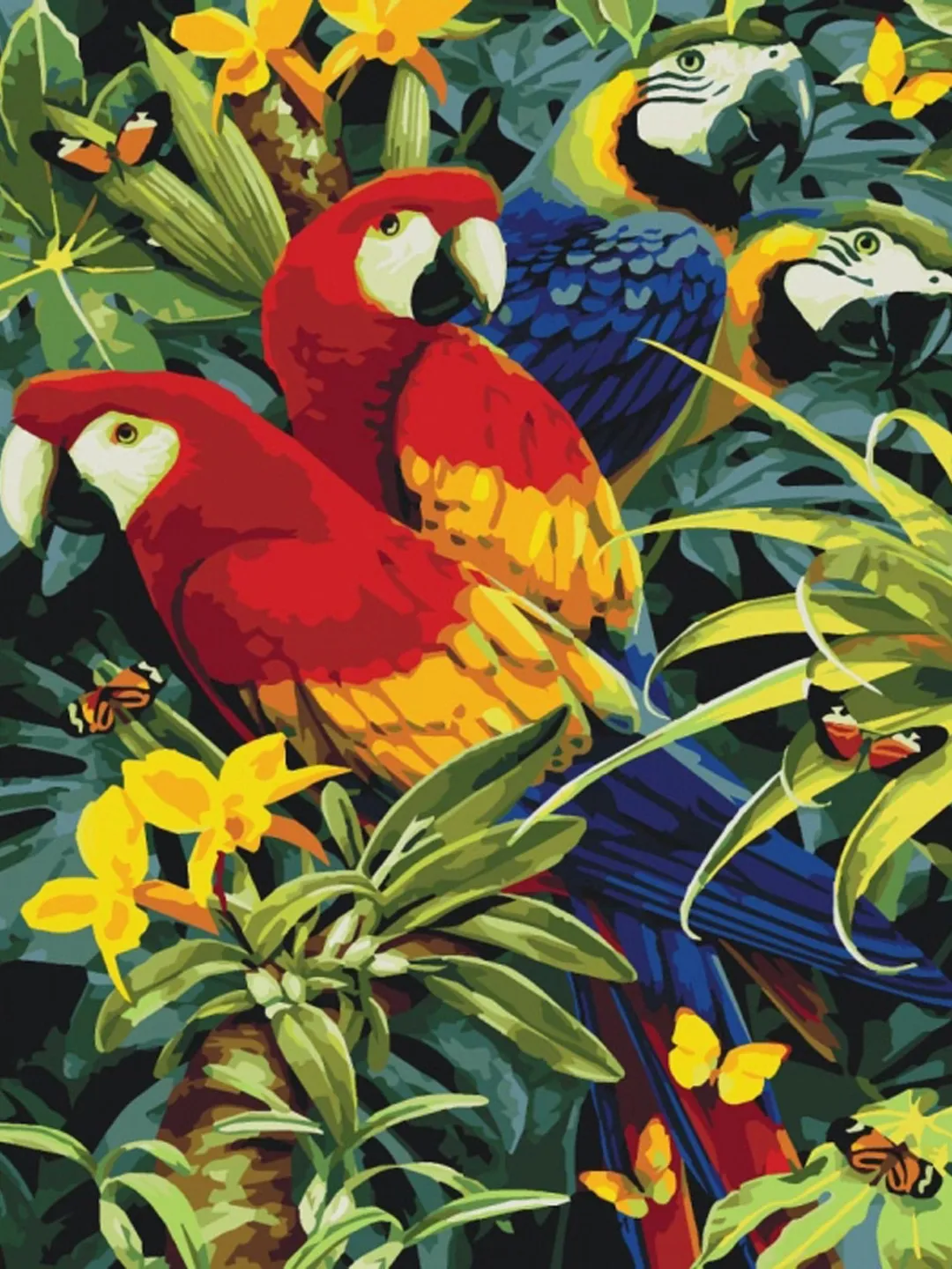 Multicolored Parrots Paint by Number kit Adult, Birds Painting set For Kids With Frame On Canvas