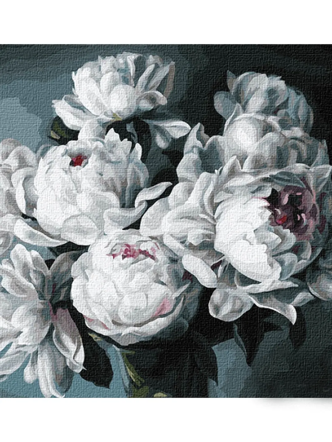 Flowers White Peonies Paint by number kit Adult, Floral Painting set With Frame On Canvas ❰ New ❱