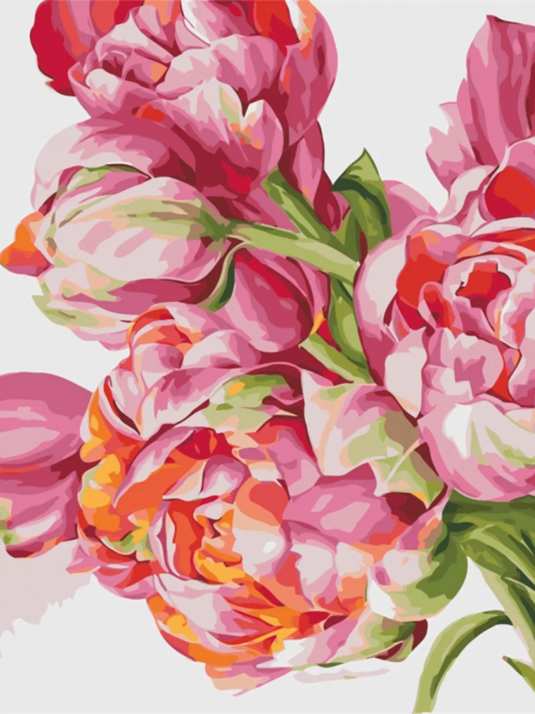 Floral Paint by numbers kits, Painting kit by numbers peonies flowers, For adult, With Frame