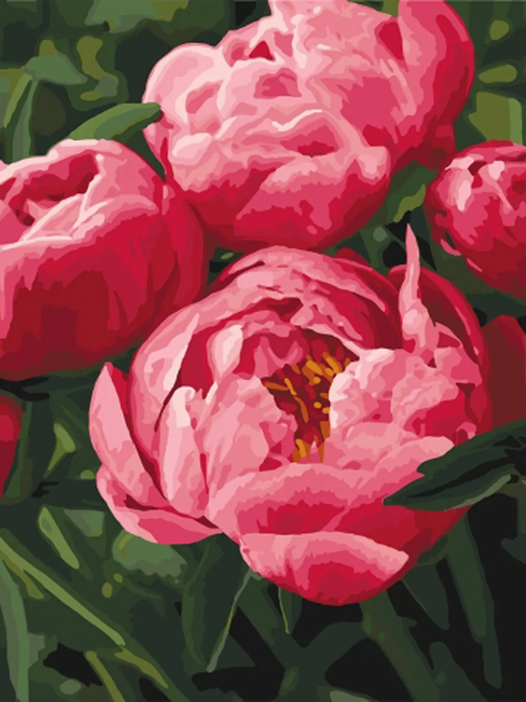 Floral Paint by number kit Adult, Peony Flowers Painting kit Framed On Canvas