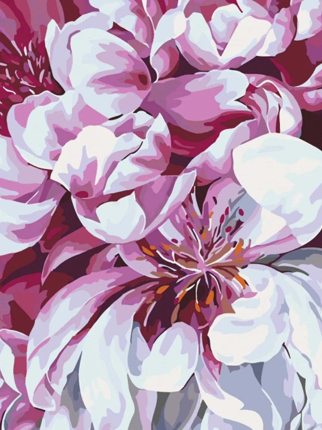 Cherry Blossom Paint by number kit Adult Floral, Painting by numbers Apricot Color With Frame, Sakura On Canvas