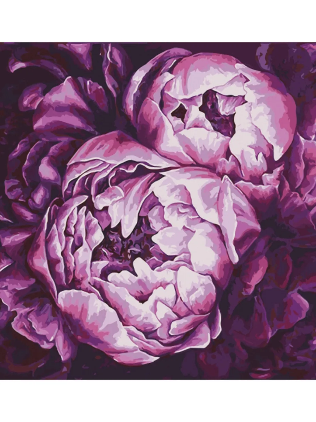 Peony Paint by numbers kits Peonies, Floral Painting by numbers Purple peony, Picture For adult With Frame On Canvas