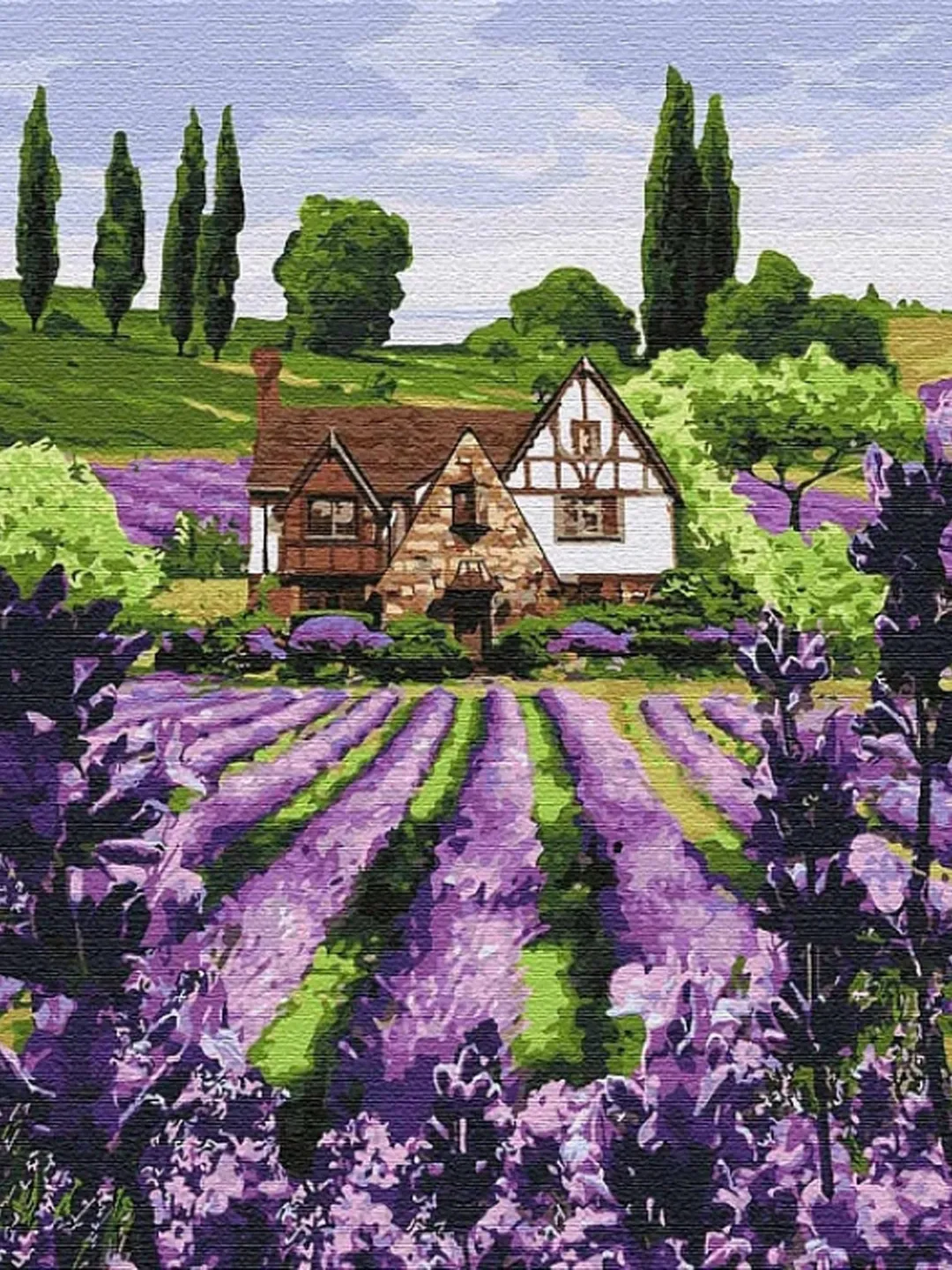 Lavender Floral Paint by number kit Adult, Flower Painting Set With Frame On Canvas