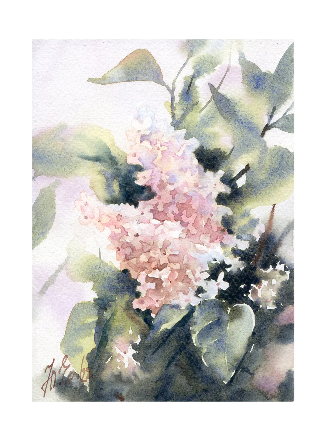 Pink lilac branch in watercolor / Original painting