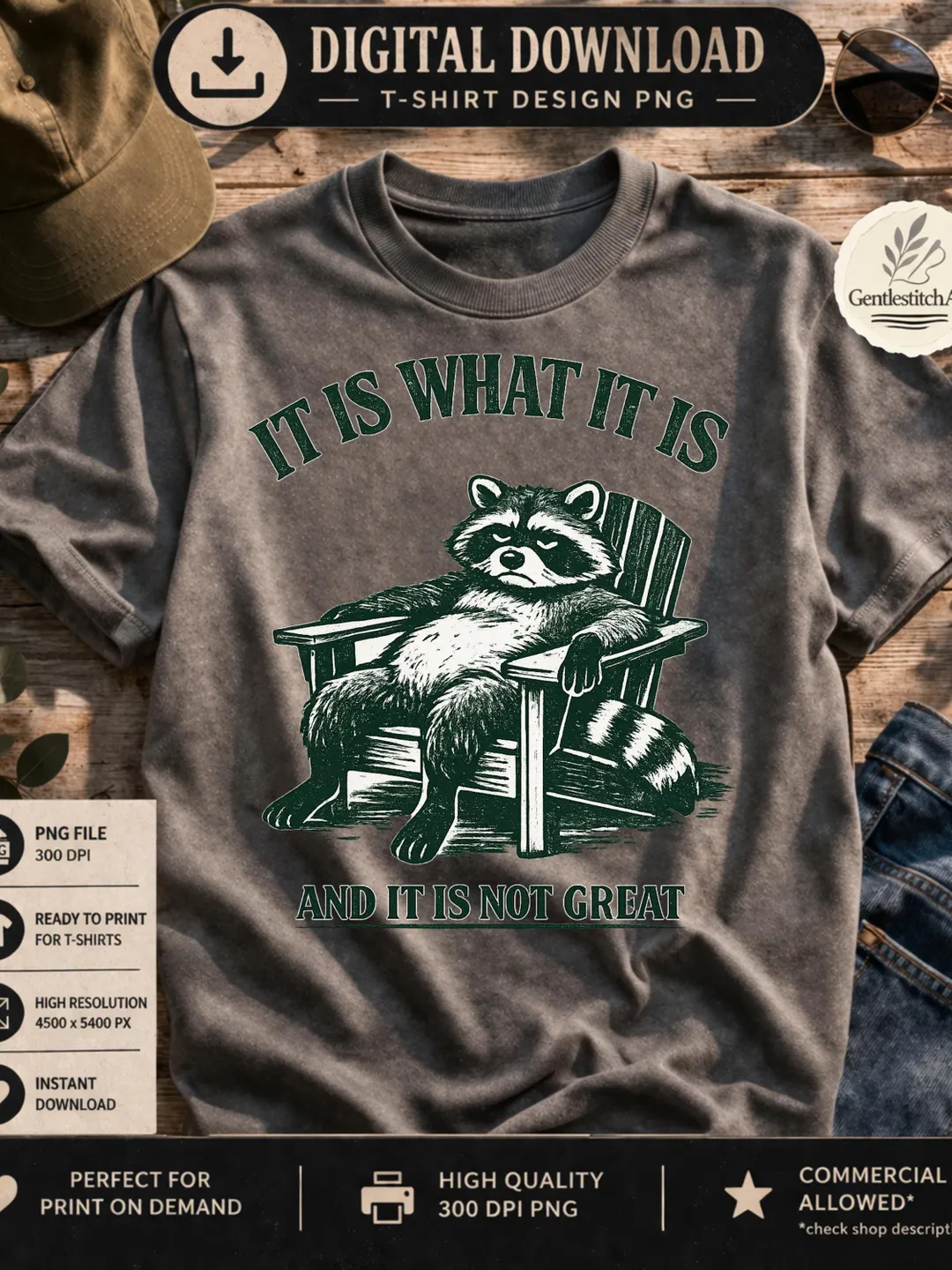 Funny Raccoon Meme PNG: It Is What It Is Not Great Existential Humor ...