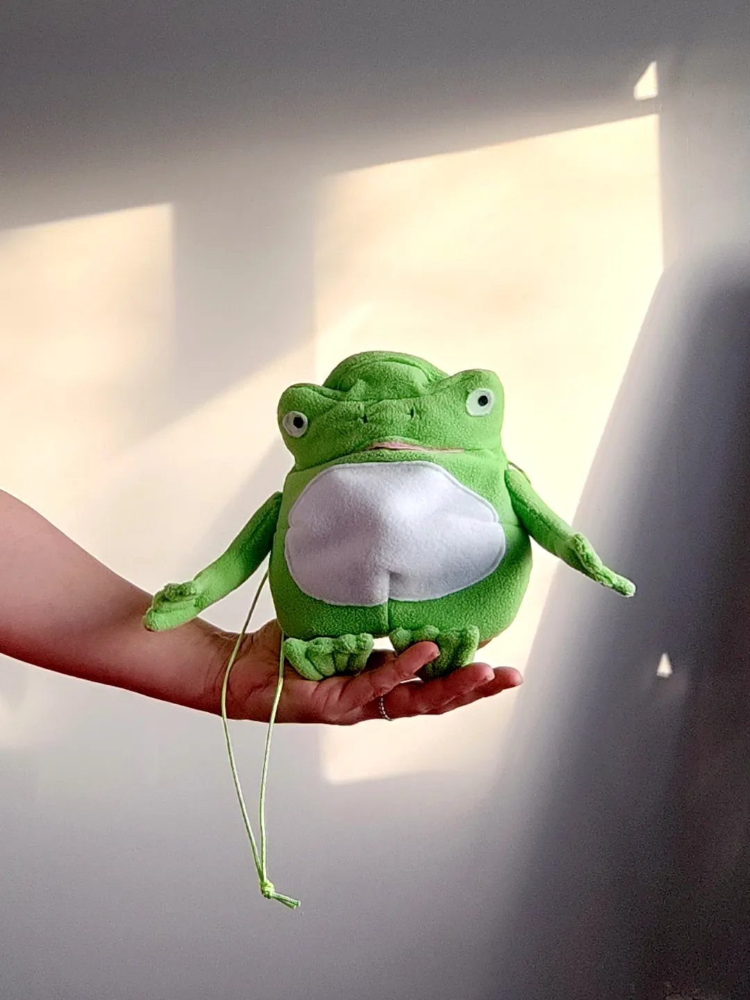 Chalk bag Frog for rock climbing