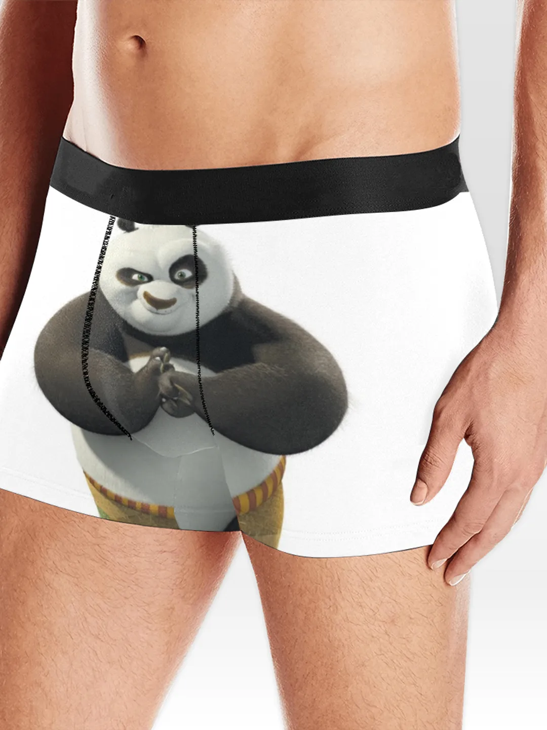 Kung Fu Panda Boxer Briefs Underwear