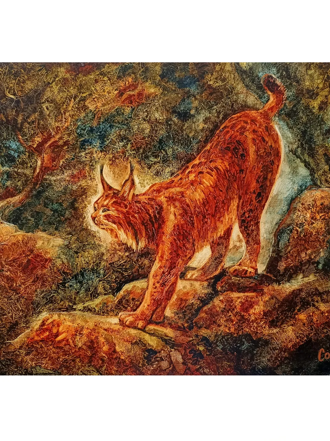 Lynx Painting Animal Original Art Woodland Painting On Canvas Forest Art Bobcat Realism Painting 20"x 28" By Colibri Art