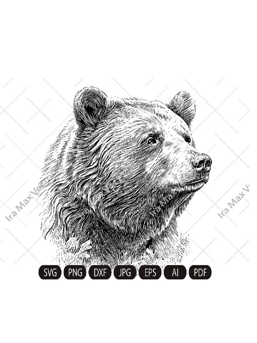 BEAR svg, BEAR head svg, Bear Clipart, Bear Face Svg, Bear, Grizzly Bear Vector Illustration , Rustic and Vintage Design, Instant Download