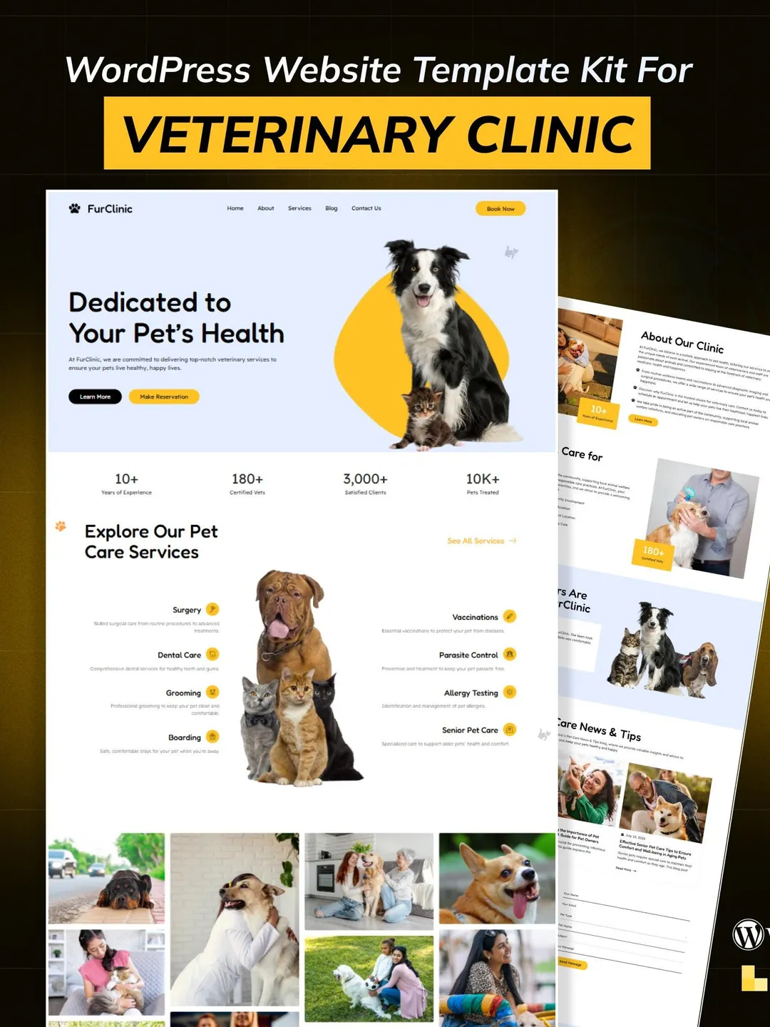 Veterinary Clinic WordPress Bricks Builder Template Kit | Pet Care & Animal Hospital Website Template