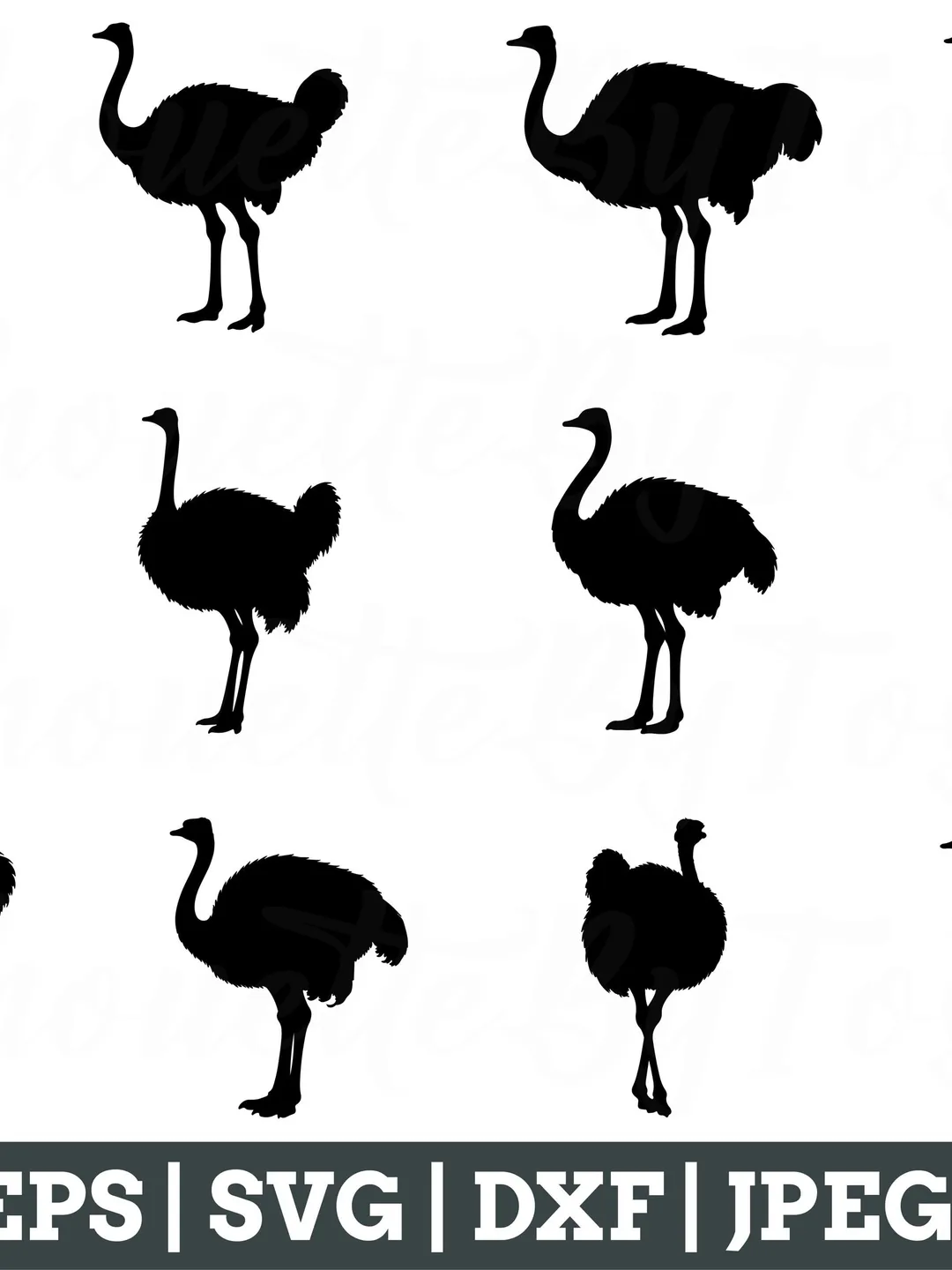 Ostrich Svg, Ostrich Silhouette, Ostrich Vector, Ostrich Cut File, Ostrich Dxf, Jpeg, Png