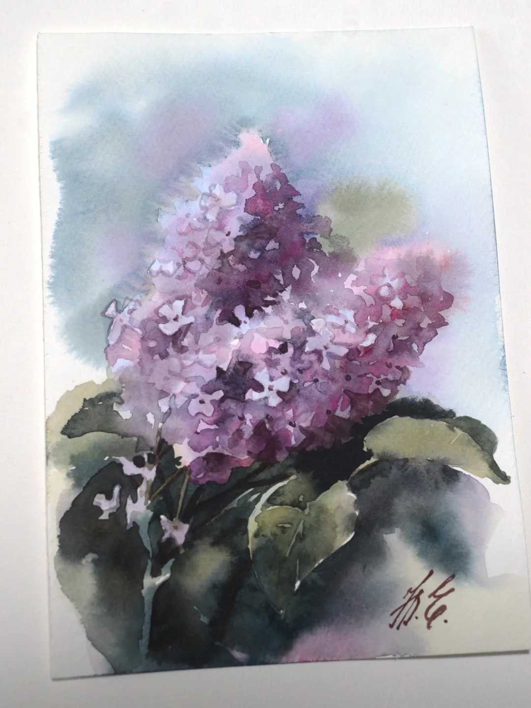 Lush lilac branch in watercolor / Original art by Yulia Evsyukova