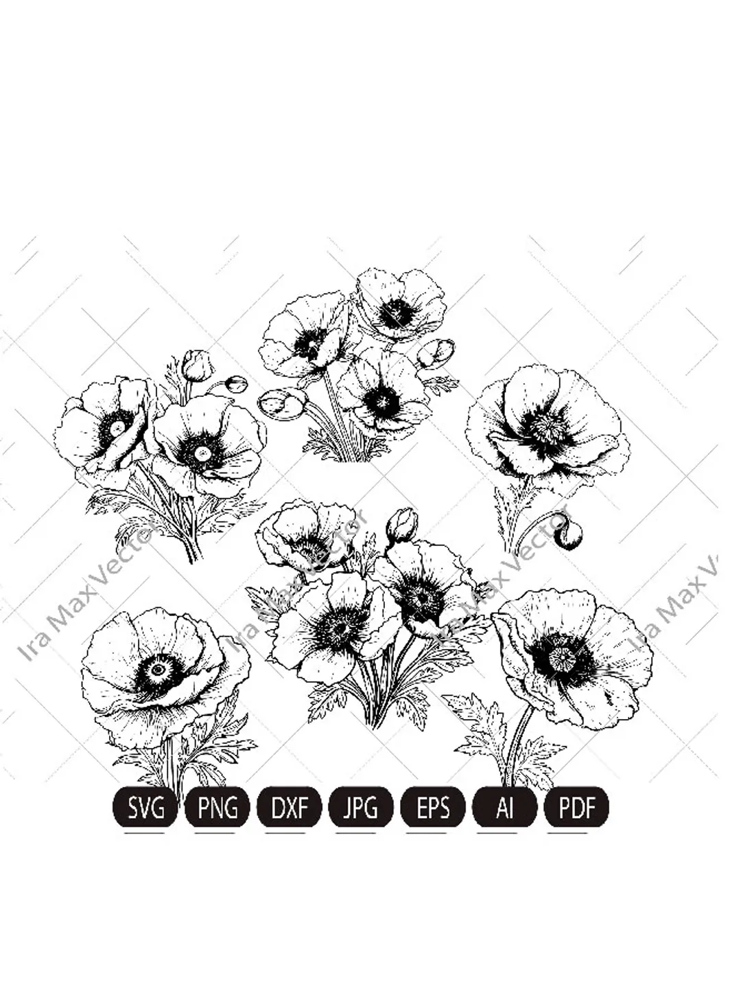 Poppy Flowers Clipart, Poppies SVG, Red Poppies PNG, California Poppy SVG. Poppy Clipart, Red Poppies Clipart, Poppies,