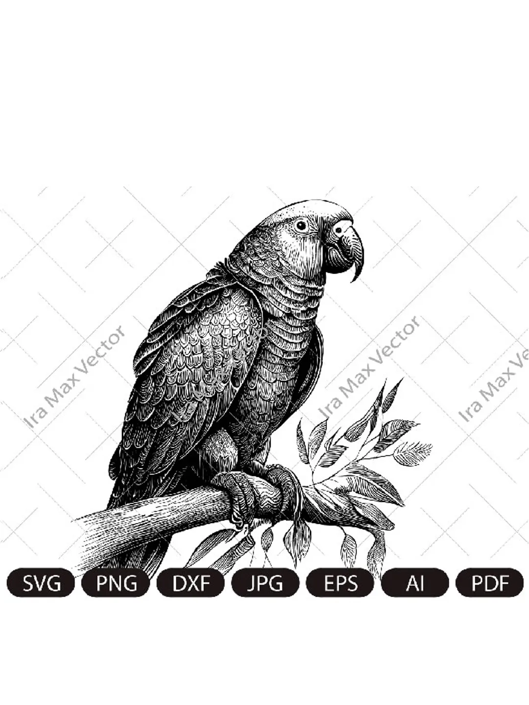 Parrot Svg, Exotic bird svg, Macaw svg, Silhouette dxf, bird Clipart, Parrot face svg, vector bird , Parrot head svg, digital file
