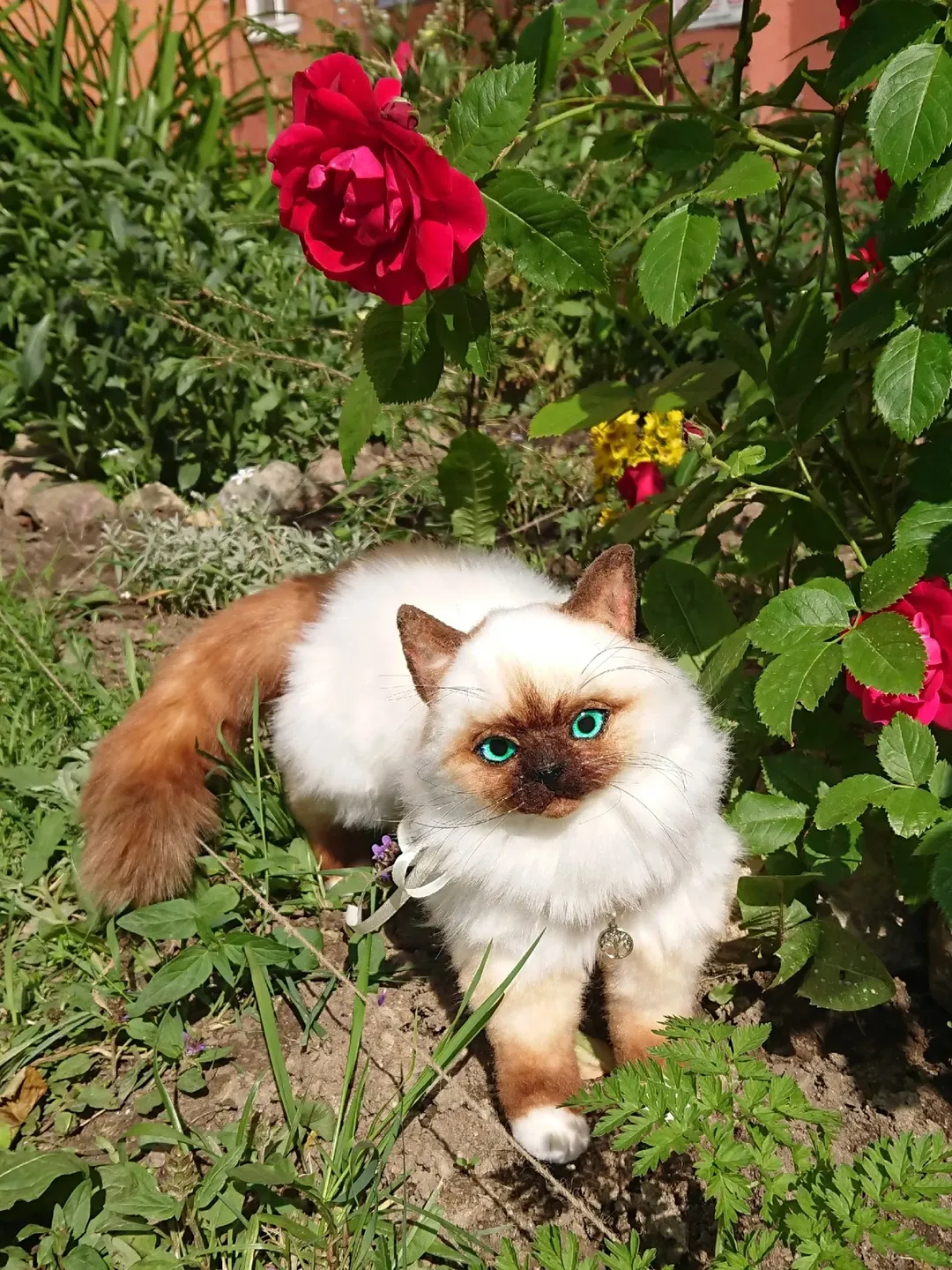 Kitten Siamese OOAK realistic plush artist collectible plush cat stuffed kitten