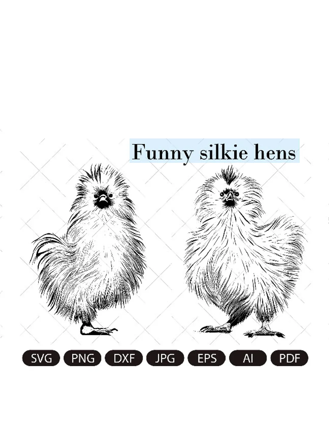 Silkie hen, Silk rooster,Silkie bird ,FUNNY SILKIE HEN Digital image, animal, bird, hen, cock