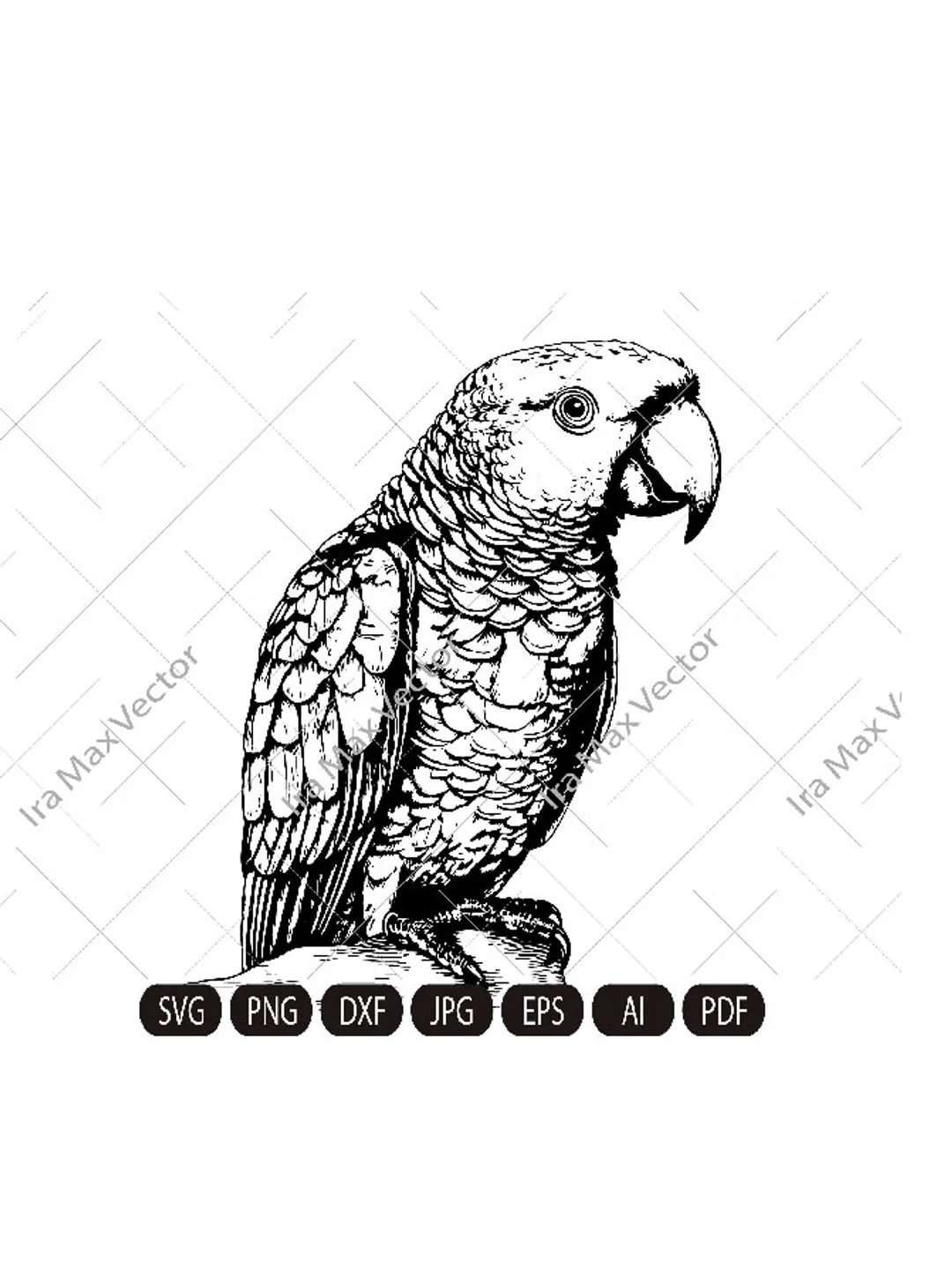 Parrot Svg, Macaw svg, Exotic bird svg, Silhouette dxf, bird Clipart, Parrot face svg, vector bird , Parrot head svg, digital file