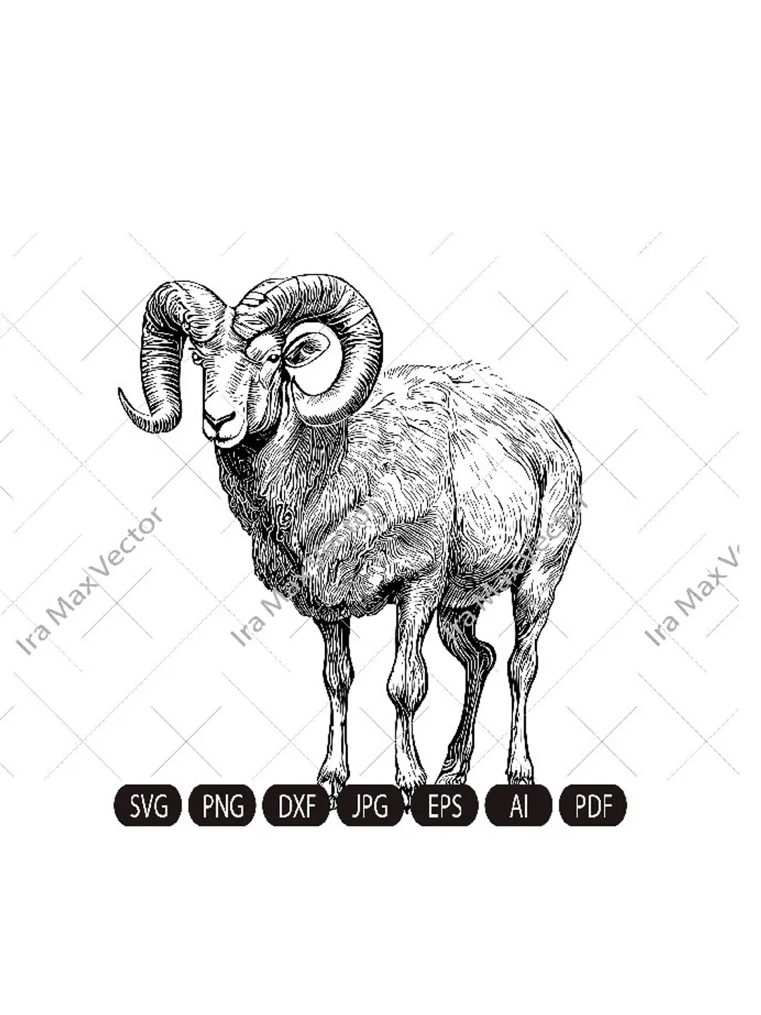 Ram Sheep SVG, Mountain sheep, Farm Animal Graphics Illustration,Ram T-Shirt ,Sheep Printable Clip Art ,Vector Digital Dxf Png Eps Ai