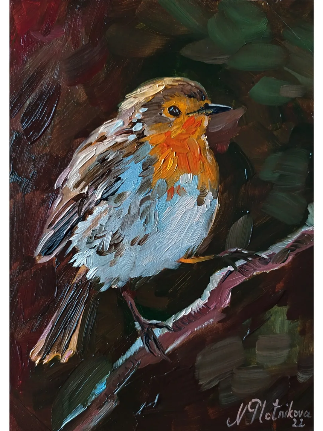 Bird painting Robin Original Art Animal Artwork fine art oil painting robin painting artwork by Natalia Plotnikova
