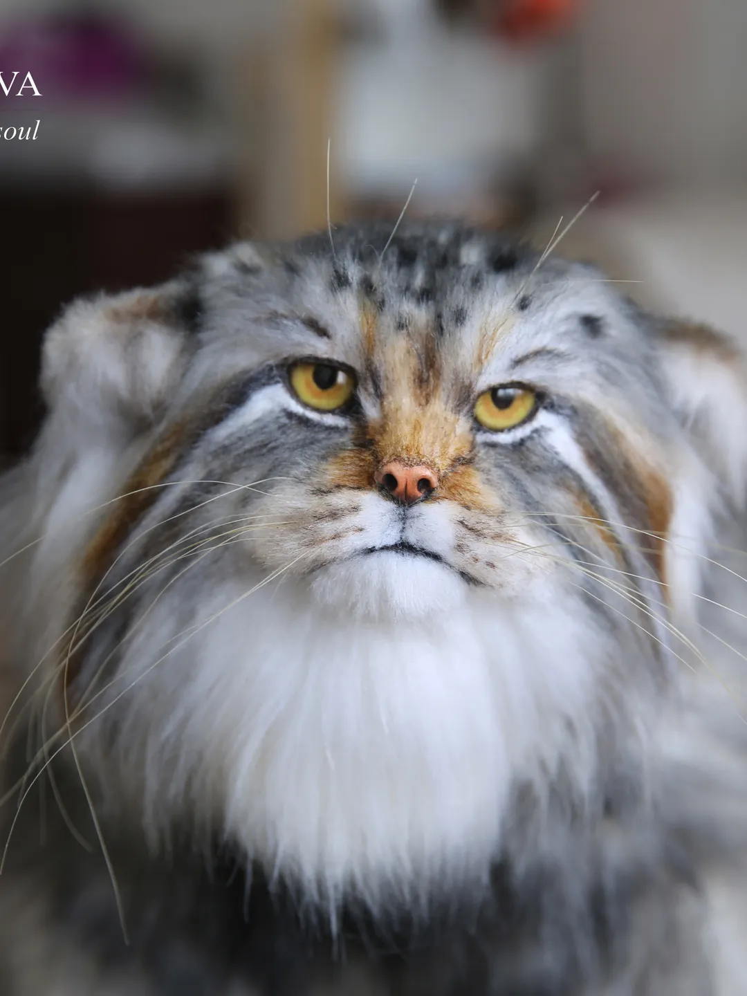 Pallas cat realistic plush animals. Ooak toy. Realistic manul stuffed toy