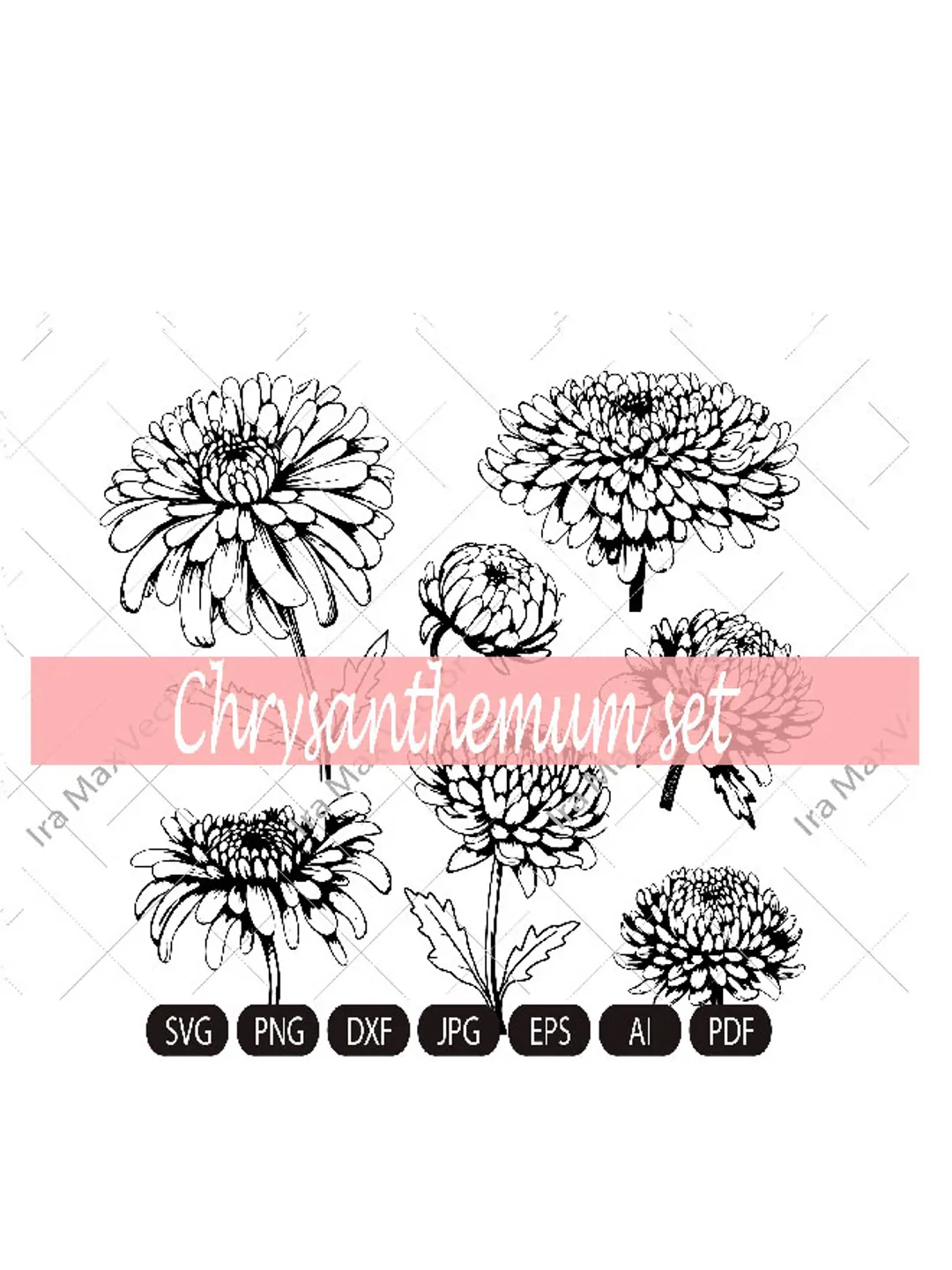 Chrysanthemum Clipart/Line Chrysanthemum Clipart/Autumn Flower/Flower Line Art/Floral Clipart/Hand Drawn Flower Clipart/Line Flower/Garden