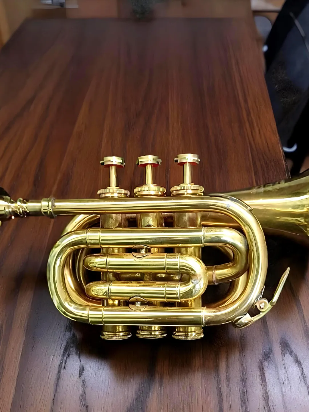 Mini Bugle Antique Brass Mini Trumpet | Pocket Bugle Horn, Music Decor